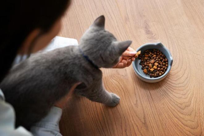 Freeze Dried Cat Food