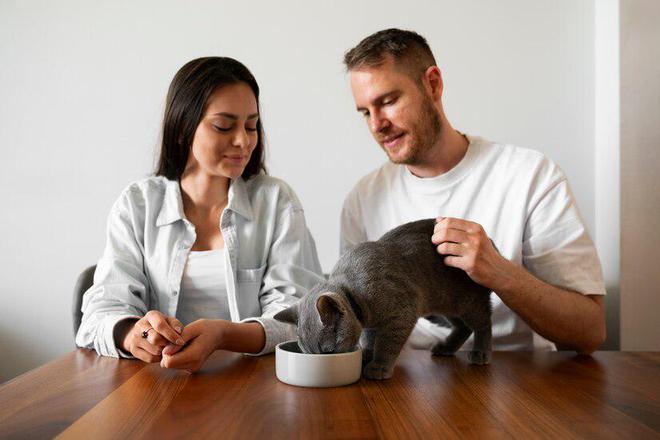 Freeze Dried Cat Food