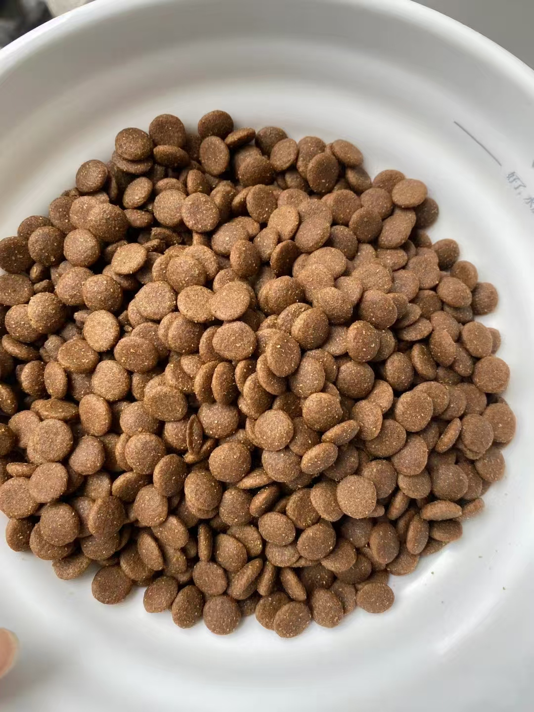 puppy food