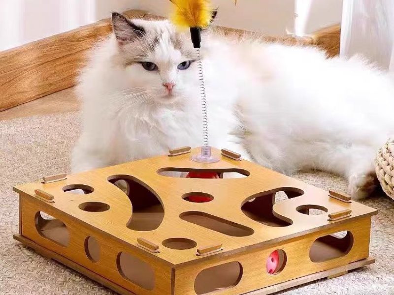 Challenge Your Cat’s Brain with Puzzle Toys